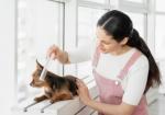 How to Choose the Best Mobile Pet Grooming Near Me for Your Pet?